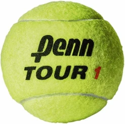 Penn Tour Extra Duty Tennis Balls - 24 Can Case -RACQUET GUYS Shop 51ClCiDY15L. AC