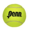 Penn 10 Inch Jumbo Inflatable Tennis Ball -RACQUET GUYS Shop 581022 4 in penn ball 1a5a5814 9846 4bdd a851 b5009a69d2bd