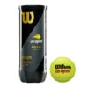Wilson US Open Extra Duty Tennis Balls -RACQUET GUYS Shop US Open Official Extra Duty 3ball Can Front LOGO 5135b62b bfd1 4074 9182 f51b33156923
