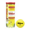 Wilson Championship Extra Duty Tennis Balls -RACQUET GUYS Shop WILSONChampionshipBalls